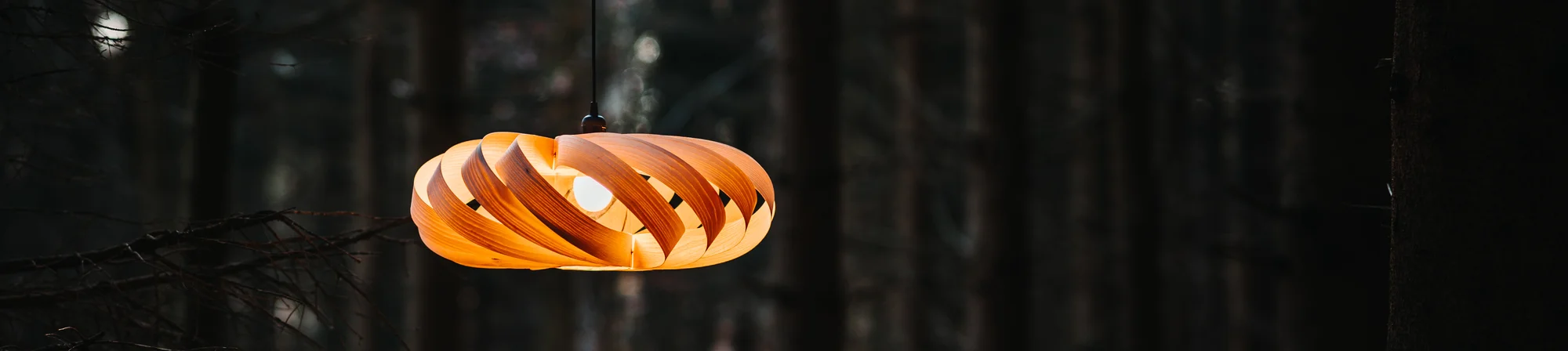Hängelampe aus Echtholzfurnier | Foto: Pascal Blaurock