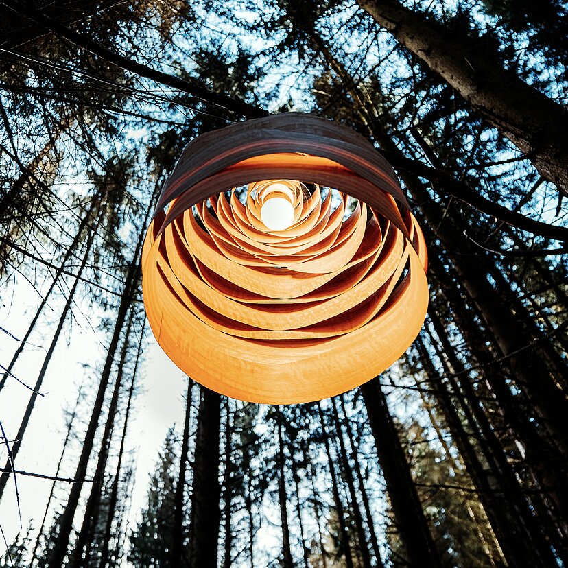 Hängelampe aus Echtholzfurnier | Foto: Pascal Blaurock